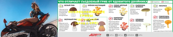 MESCALINE Нефтекумск