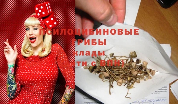 дживик Нея