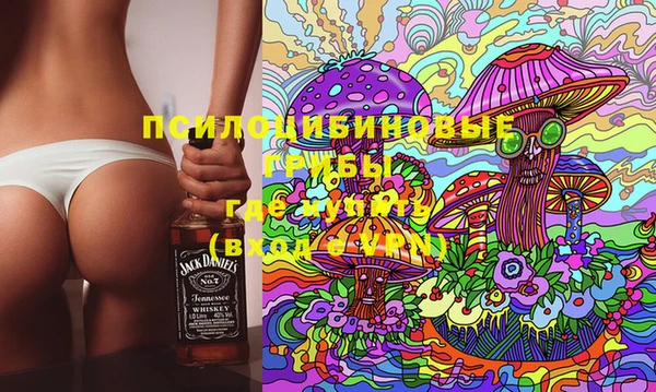 дживик Нея