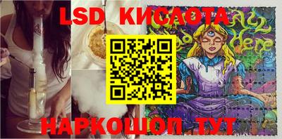 эйфоретик Будённовск