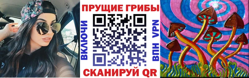 Галлюциногенные грибы Psilocybe  Железногорск 