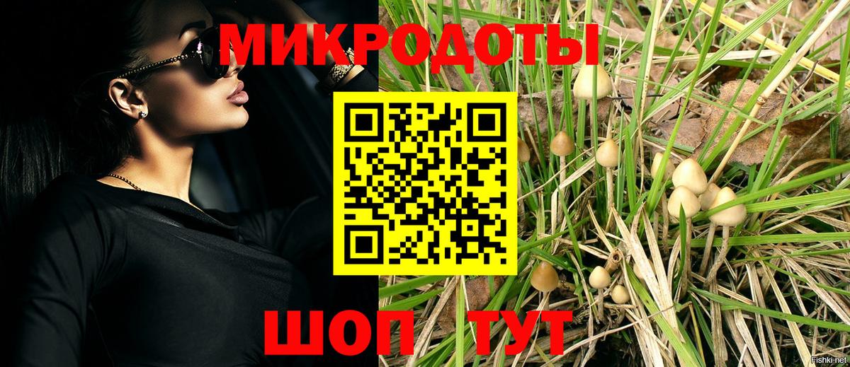 Галлюциногенные грибы Psilocybe Железногорск