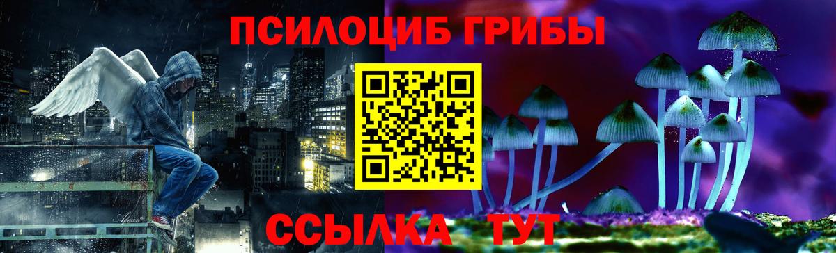 Галлюциногенные грибы прущие грибы  Железногорск 