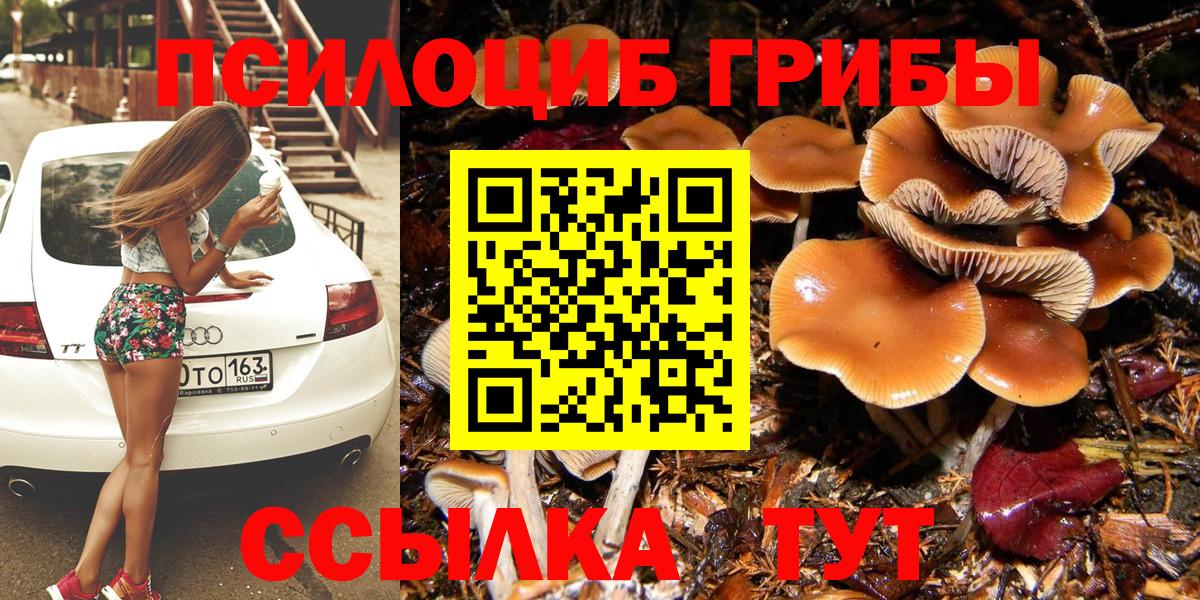Железногорск  Галлюциногенные грибы Magic Shrooms  Вход с VPN  Галлюциногенные грибы мицелий 